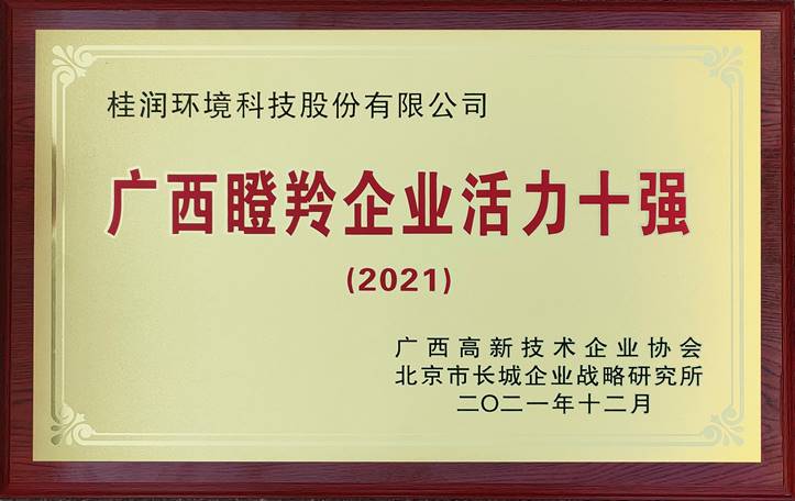 2021年廣西瞪羚企業(yè)活力10強.jpg